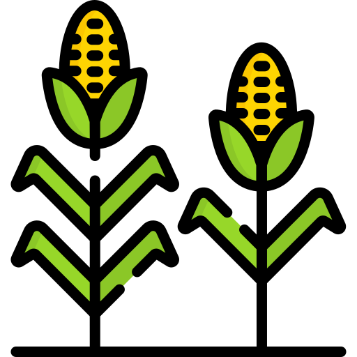 Zein Project Logo